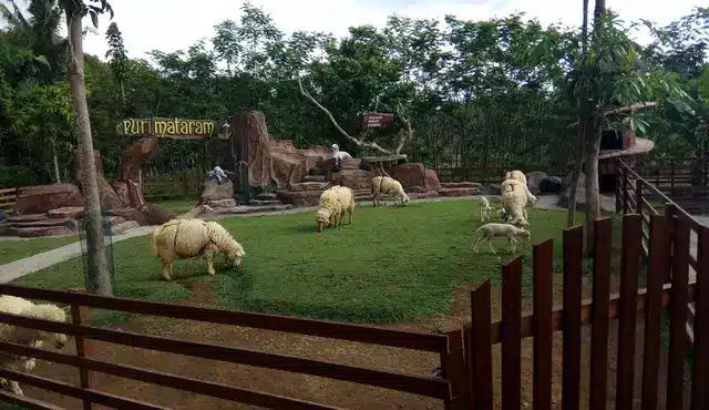 40 Tempat Wisata di Sleman Terbaru 9 puri mataram sleman
