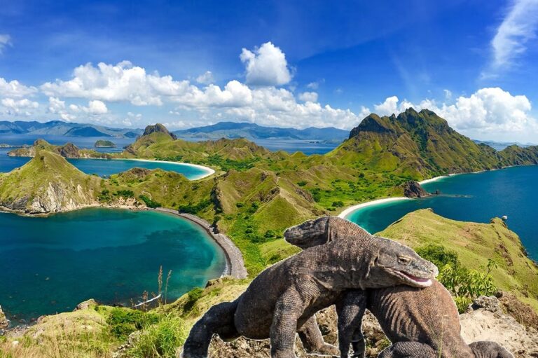 taman nasional komodo labuan bajo