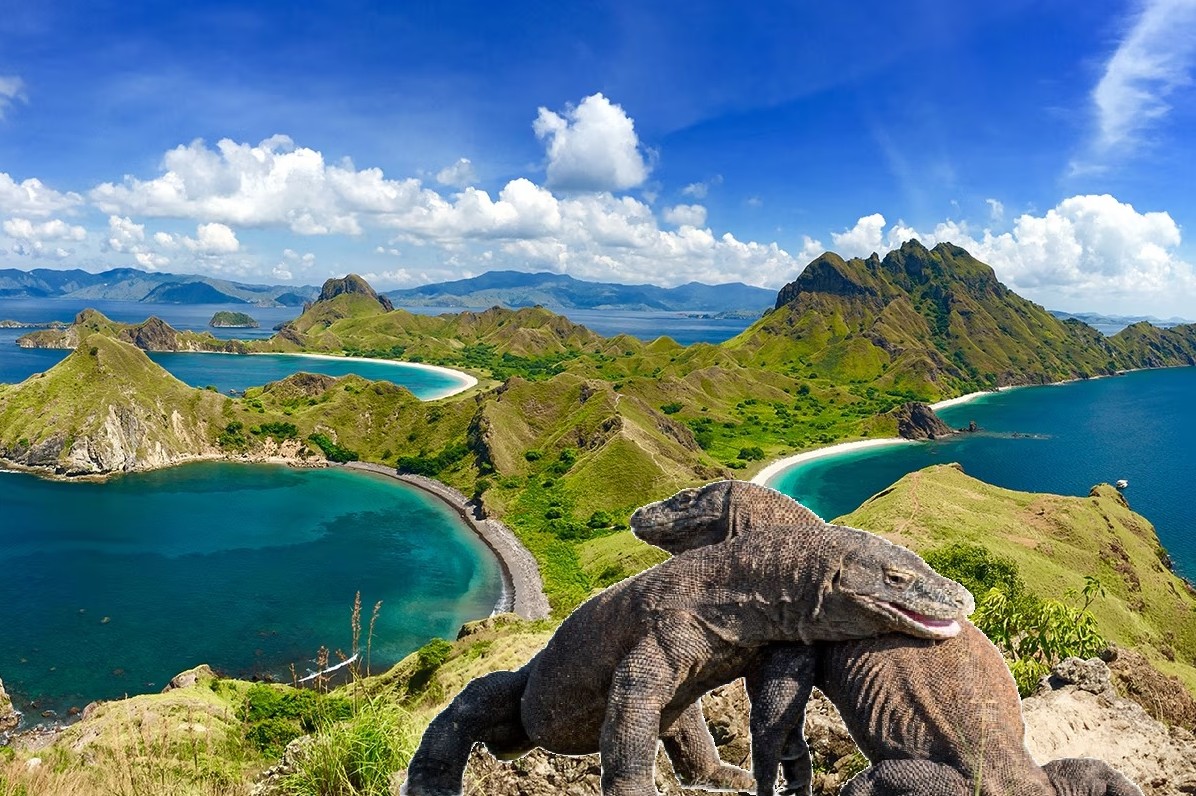 taman-nasional-komodo-labuan-bajo taman nasional komodo labuan bajo