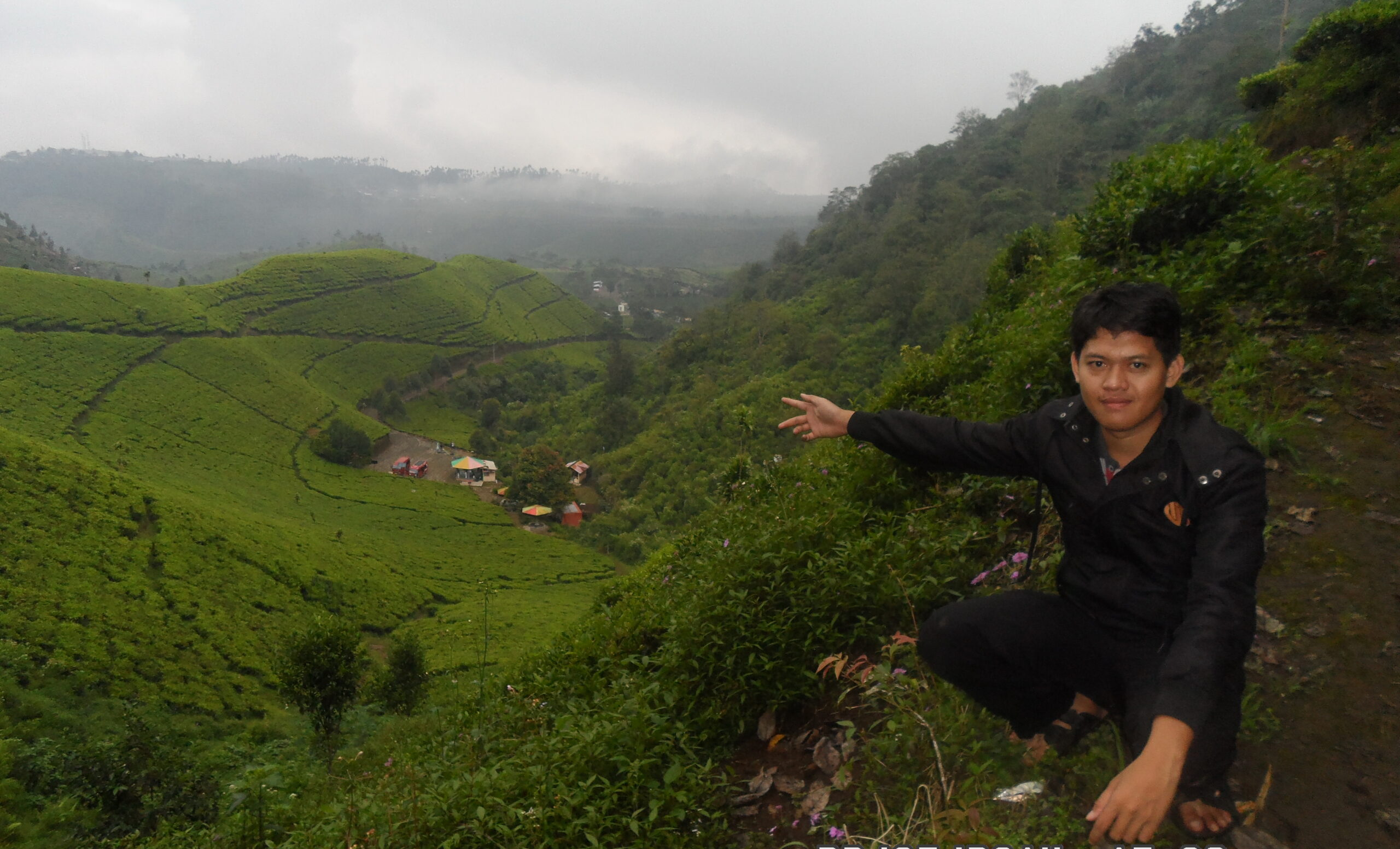 Kebun Teh Kaligua Brebes: Jalan Pagi di Hamparan Teh, Goa Jepang, dan Udara Dingin Pegunungan 2 Kebun Teh Kaligua Brebes terbaru