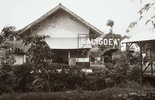Kebun Teh Kaligua Brebes: Jalan Pagi di Hamparan Teh, Goa Jepang, dan Udara Dingin Pegunungan 6 kebun teh kaligua brebes goa jepang feat 1777288379