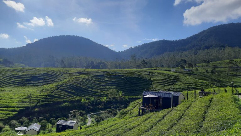 Taman Langit Pangalengan Bandung: Camping di Atas Kebun Teh dengan Bonus Sunrise Samudera Awan 5 taman langit pangalengan bandung camping sunrise feat 1777288361