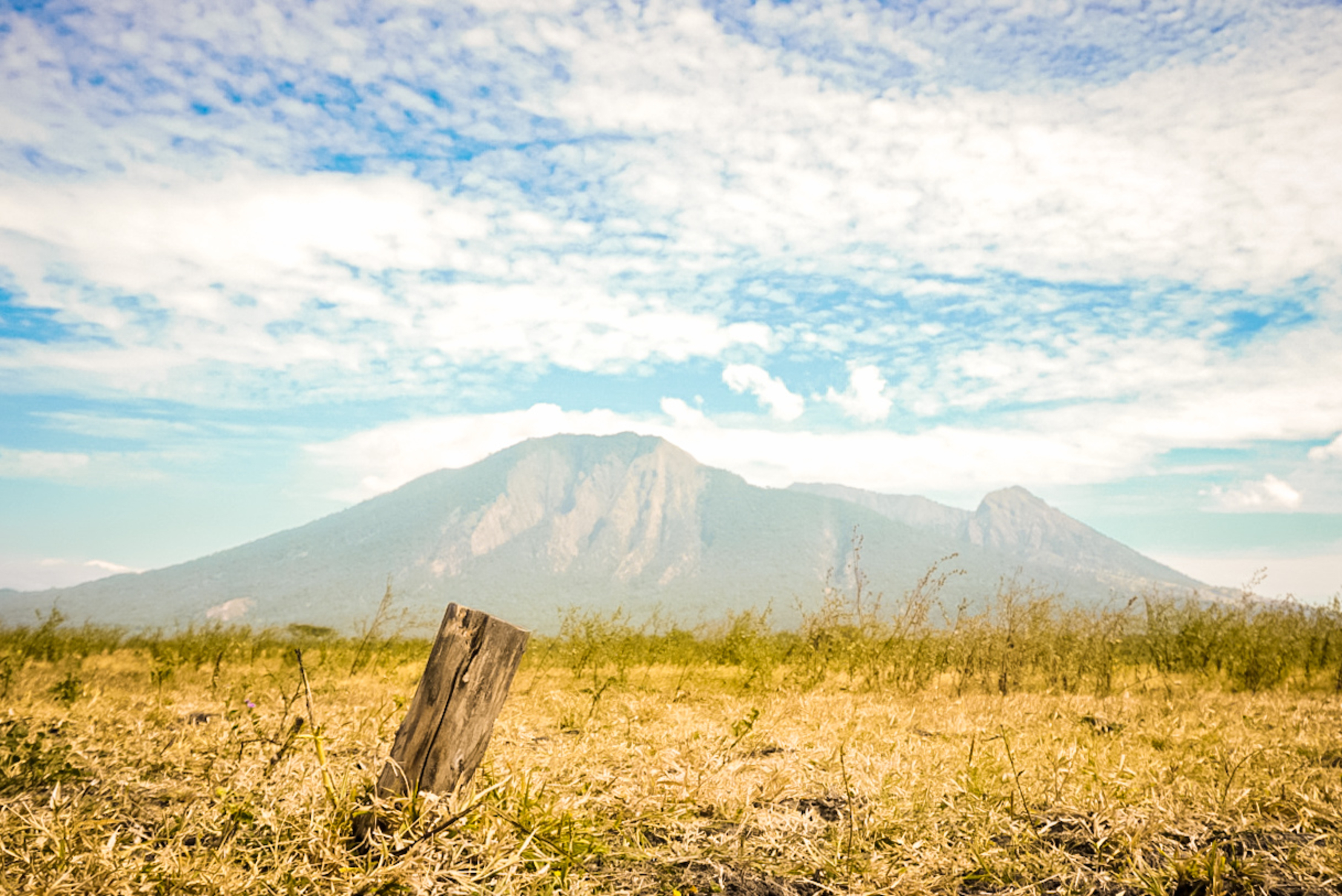 Taman Nasional Baluran Situbondo